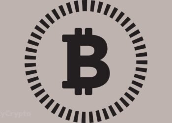 Tether CEO Spotlights Bitcoin's Uniqueness While Citing Bearish View on Shiba Inu, PEPE, WIF, FLOKI
