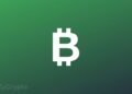 Bitcoin Bull Says those Waiting to &acirc;buy the dip&acirc; Will Fuel the $50k to $100k Pump