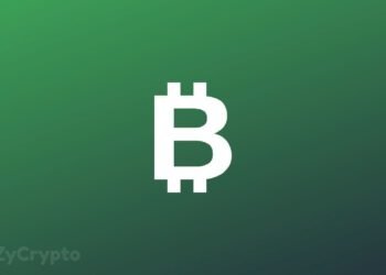 Bitcoin Bull Says those Waiting to &acirc;buy the dip&acirc; Will Fuel the $50k to $100k Pump