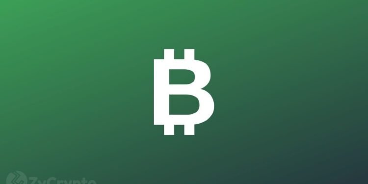 Bitcoin Bull Says those Waiting to &acirc;buy the dip&acirc; Will Fuel the $50k to $100k Pump