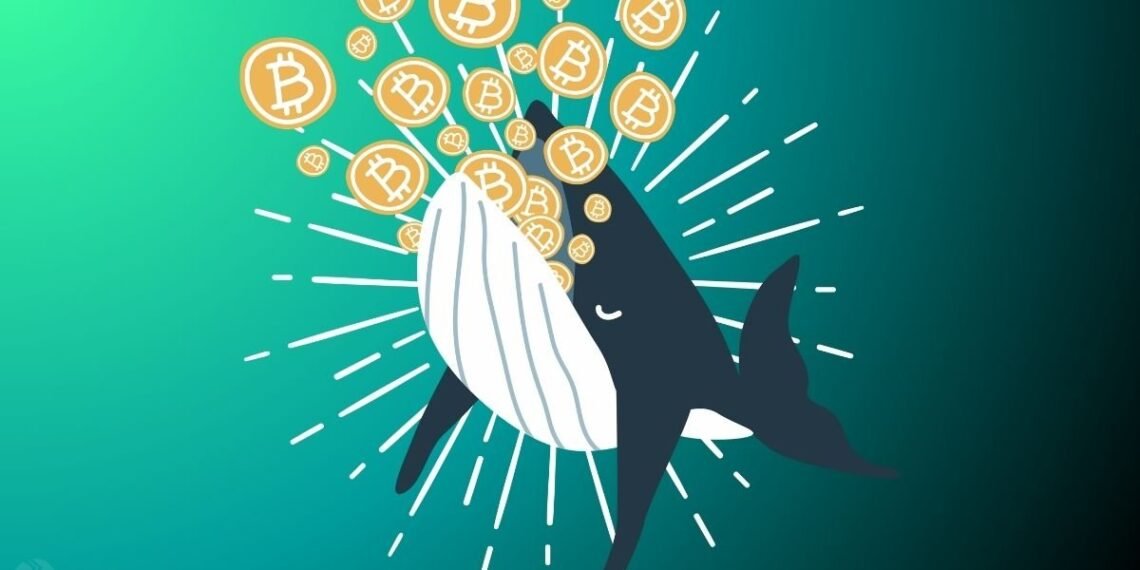Bitcoin Whales Accumulate Aggressively As Price Slumps 20% in 3 Months