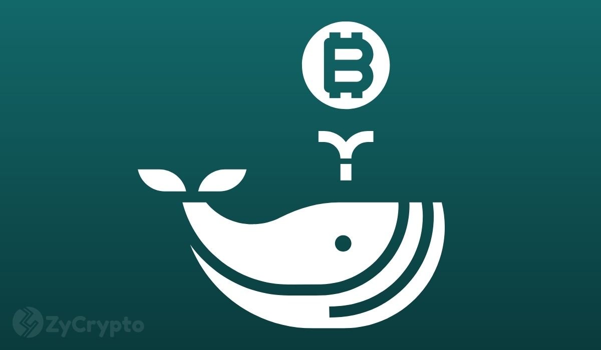 Why Whales' Movements Have Yet to Fully Reflect on Bitcoin's Price Action Why Whales' Movements Have Yet to Fully Reflect on Bitcoin's Price Action
